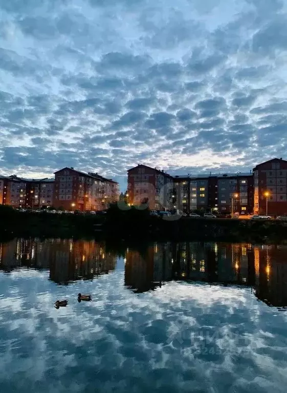 1-к кв. Красноярский край, Красноярск ул. Вильского, 8 (31.1 м) - Фото 1