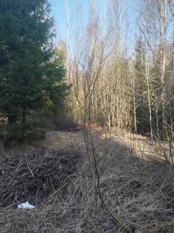 Участок в Московская область, Клин городской округ, д. Тиликтино  (8.0 ... - Фото 1