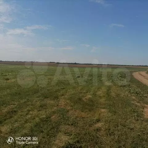 Участок 4,4 га (СНТ, ДНП) - Фото 0