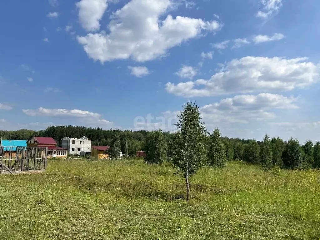 Участок в Новосибирская область, Новосибирский район, Станционный ... - Фото 1