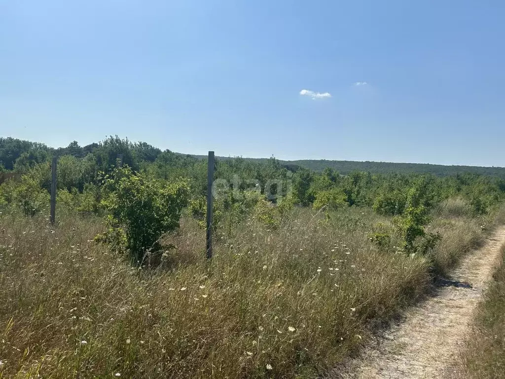 Участок в Краснодарский край, Новороссийск городской округ, ... - Фото 1