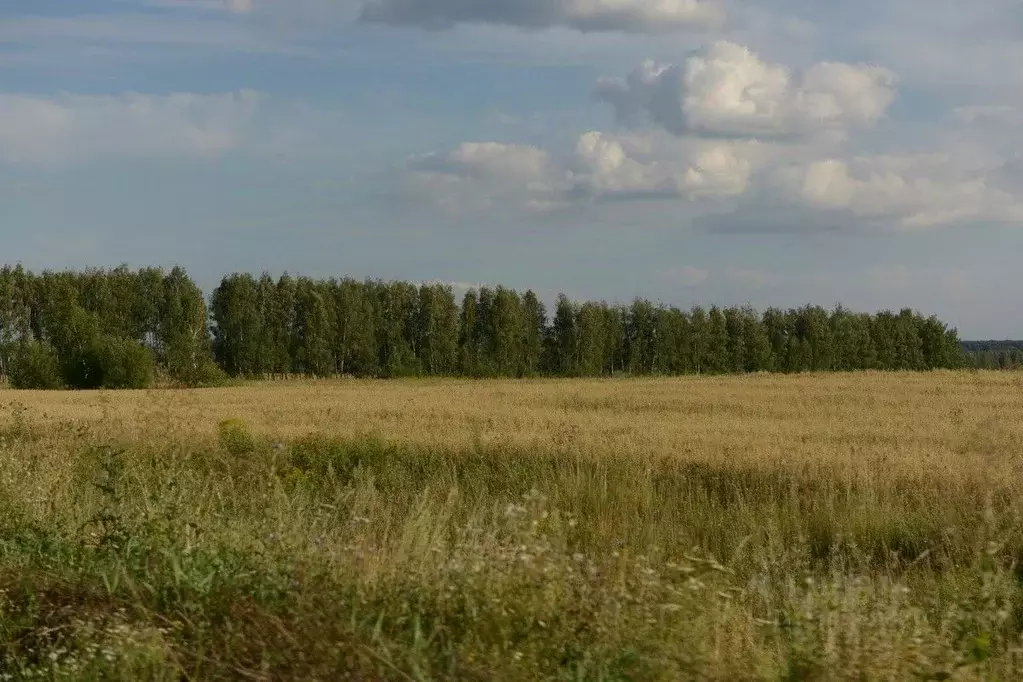 Участок в Тульская область, Ясногорский район, Теляковское ... - Фото 1