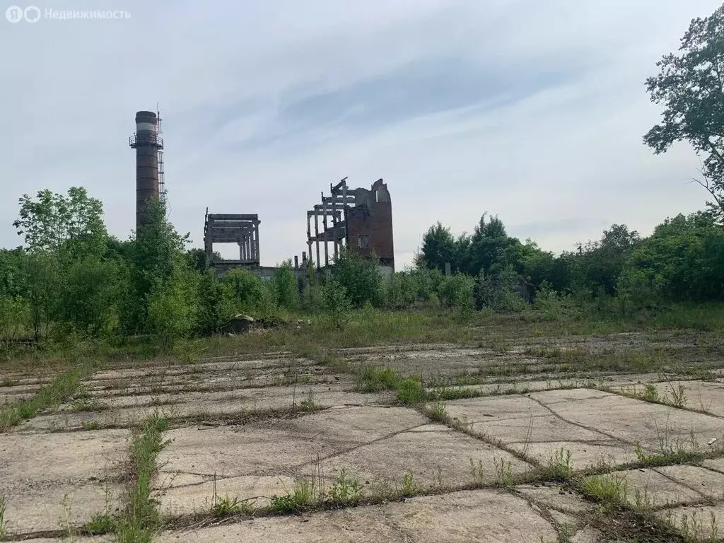 Участок в село Осиновая Речка, Амурская улица, 30 (98 м) - Фото 0