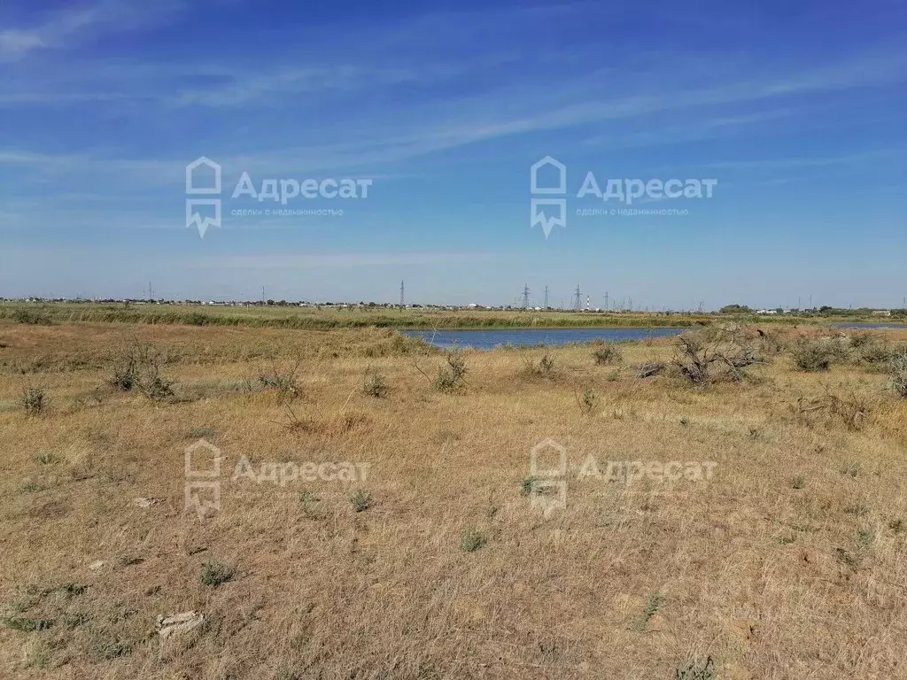 Участок в Волгоградская область, Светлоярский район, с. Большие ... - Фото 2