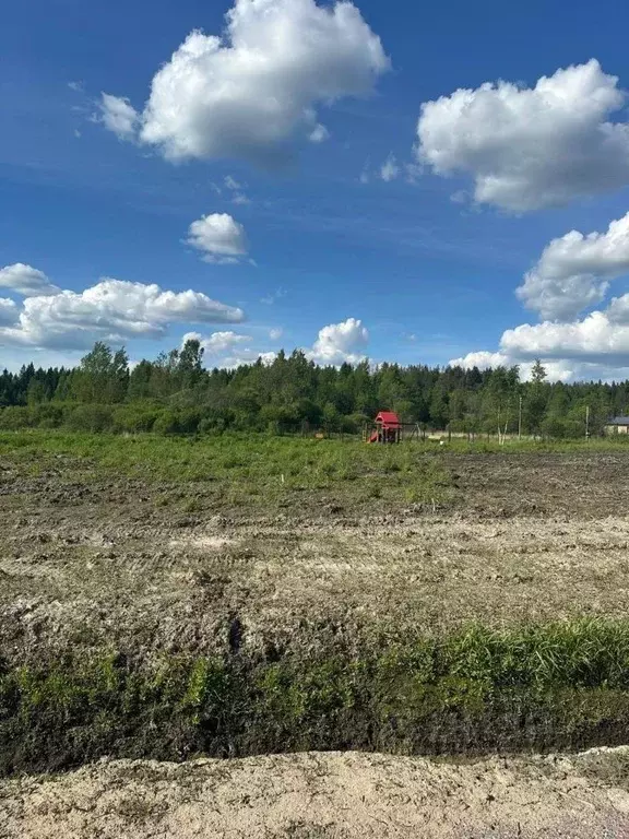 Участок в Ленинградская область, Выборгский район, Рощинское городское ... - Фото 1