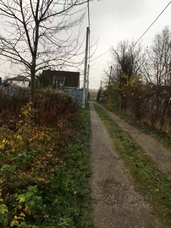 Участок в Калининградская область, Светлогорск Радуга СНТ, 18-я линия, ... - Фото 1