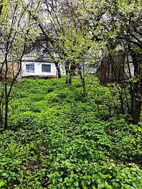 Участок в Ставропольский край, Пятигорск городской округ, с. Золотушка ... - Фото 1