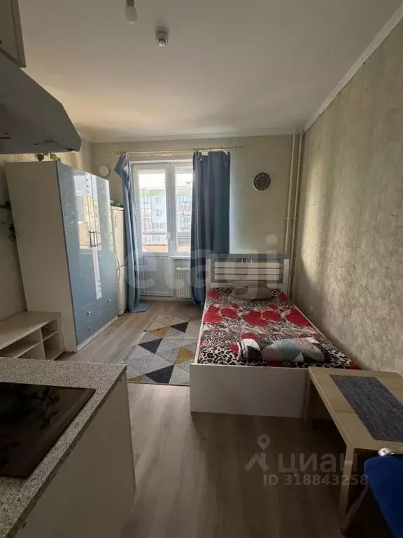 Студия Ленинградская область, Всеволожский район, Заневское городское ... - Фото 0