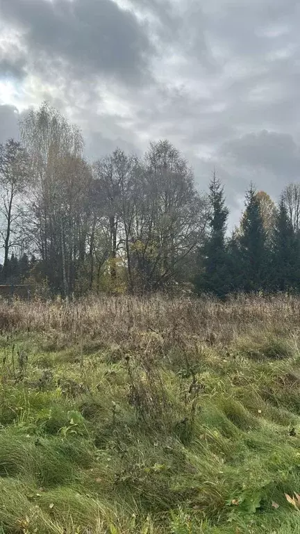 Участок в Московская область, Ступино городской округ, д. Чирково ул. ... - Фото 1