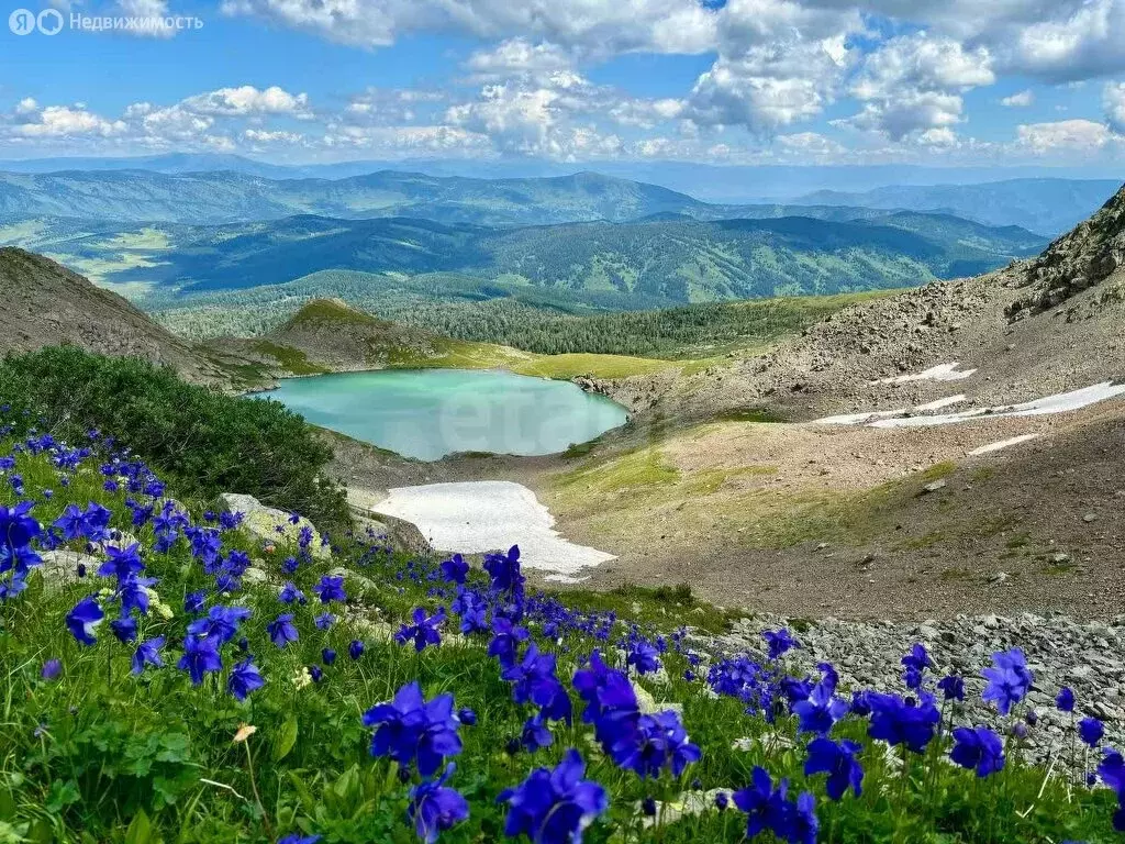 Участок в Усть-Коксинский район, село Кайтанак (2458 м) - Фото 1