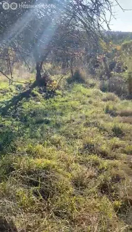 Участок в Краснодарский край, городской округ Сочи, село Черешня (5.1 ... - Фото 1