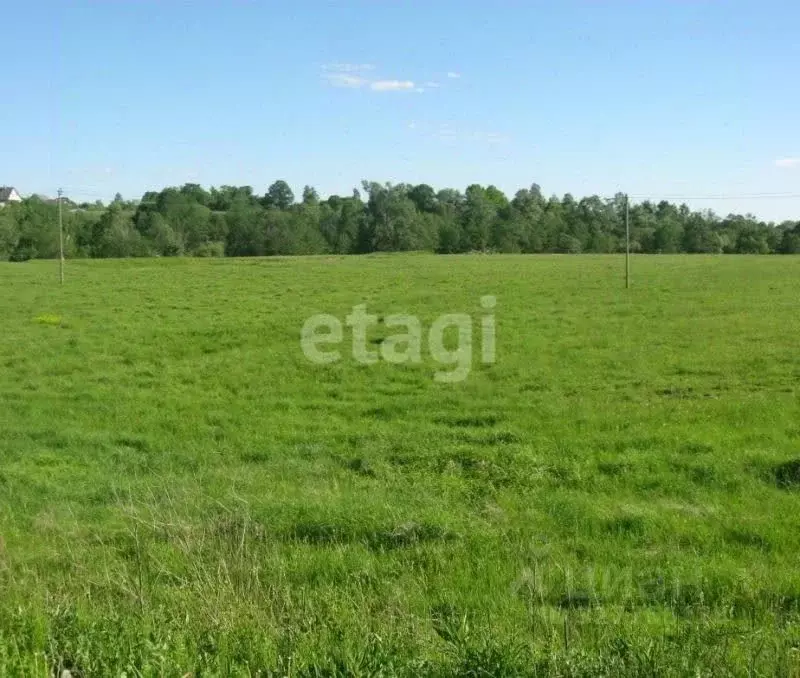 Участок в Тульская область, Тула городской округ, д. Малиновка  (830.0 ... - Фото 1