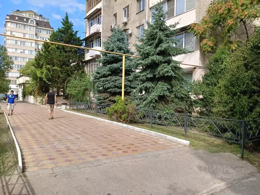 Помещение свободного назначения в Краснодарский край, Сочи городской ... - Фото 2