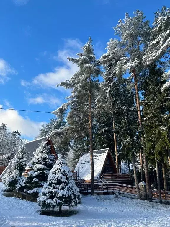 Дом в Ленинградская область, Тосненский район, Шапкинское с/пос, пос. ... - Фото 2