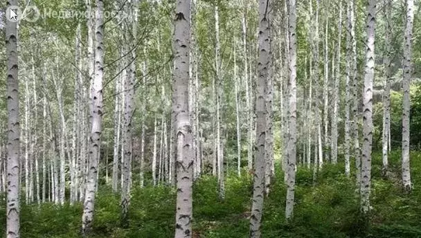 Участок в село Новолуговое, Мостовая улица (10 м) - Фото 1