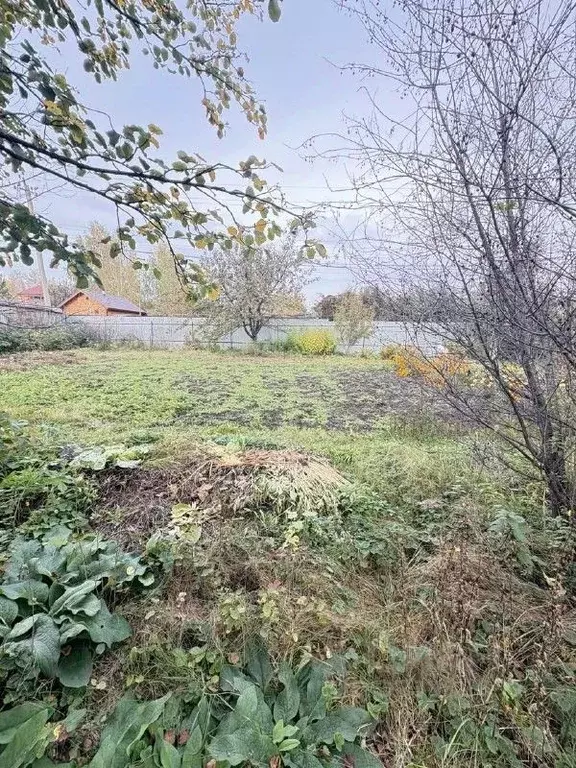 Участок в Челябинская область, Сосновский муниципальный округ, Урал ... - Фото 0