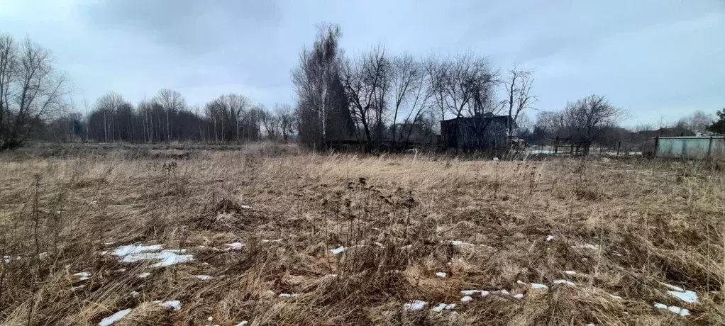 Участок в Владимирская область, Суздальский район, Боголюбовское ... - Фото 1
