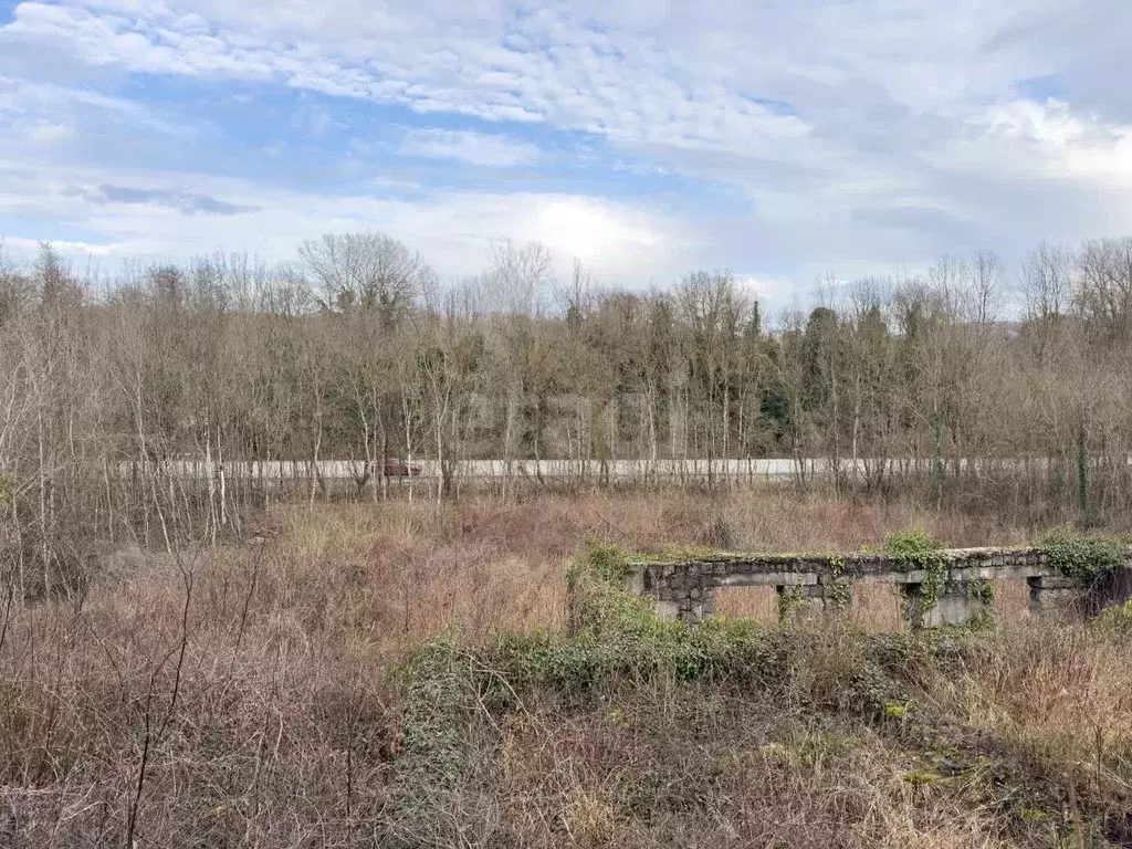 Участок в Краснодарский край, Геленджик городской округ, с. ... - Фото 1