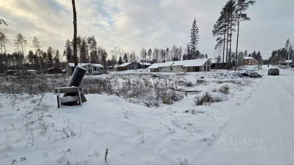 Участок в Ленинградская область, Всеволожский район, Токсовское ... - Фото 2