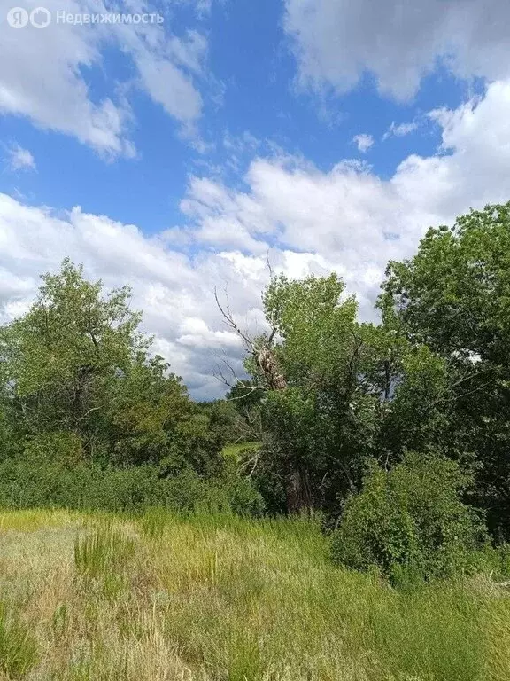 Дом в Быково-Отрогское муниципальное образование, посёлок Береговой ... - Фото 1