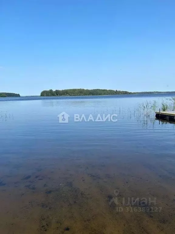 Участок в Новгородская область, Демянский муниципальный округ, д. ... - Фото 0