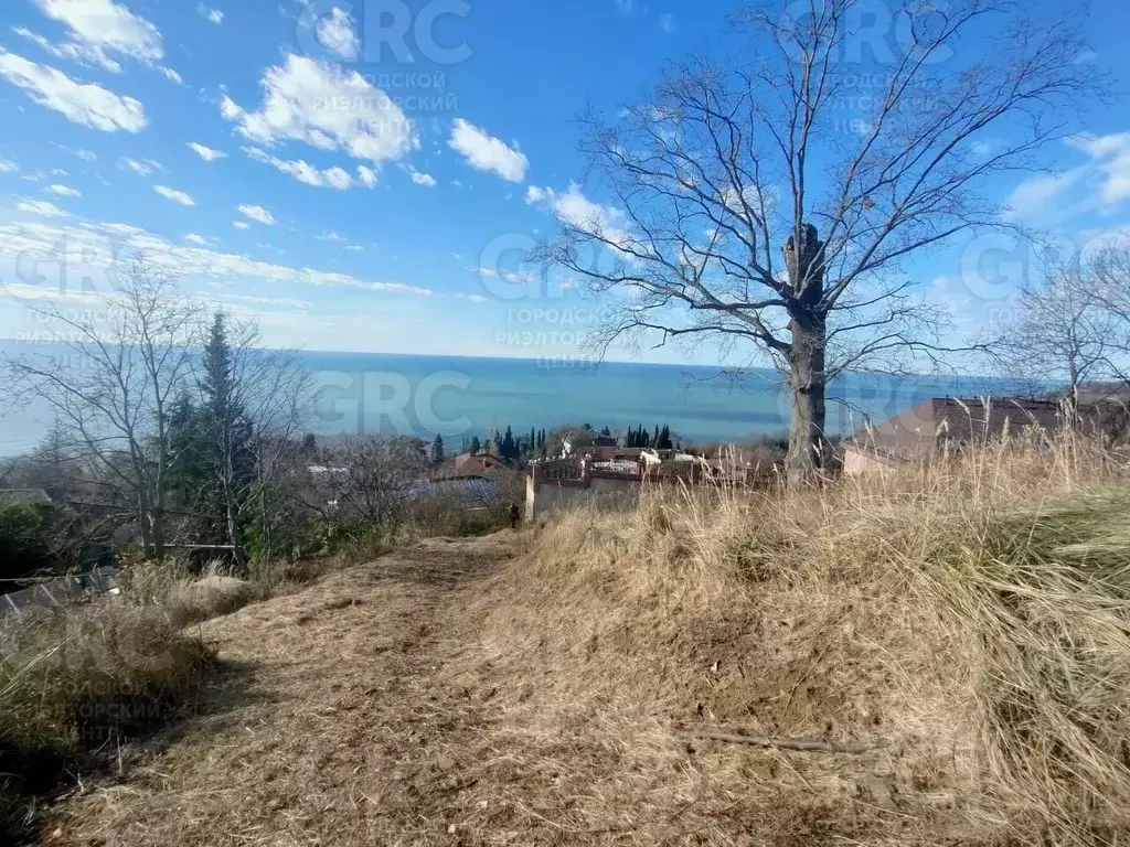 Участок в Краснодарский край, Сочи Новороссийское ш. (40.0 сот.) - Фото 1