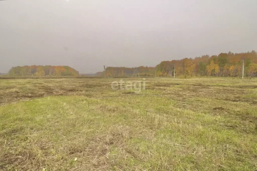 Участок в Тюменская область, Тюменский район, с. Горьковка  (8.1 сот.) - Фото 0