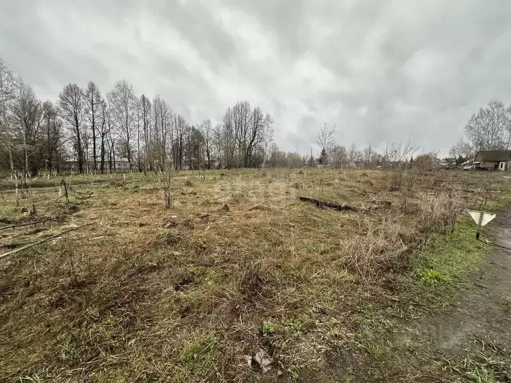 Участок в Владимирская область, Муром с. Борисоглеб, ул. Прудовая ... - Фото 0