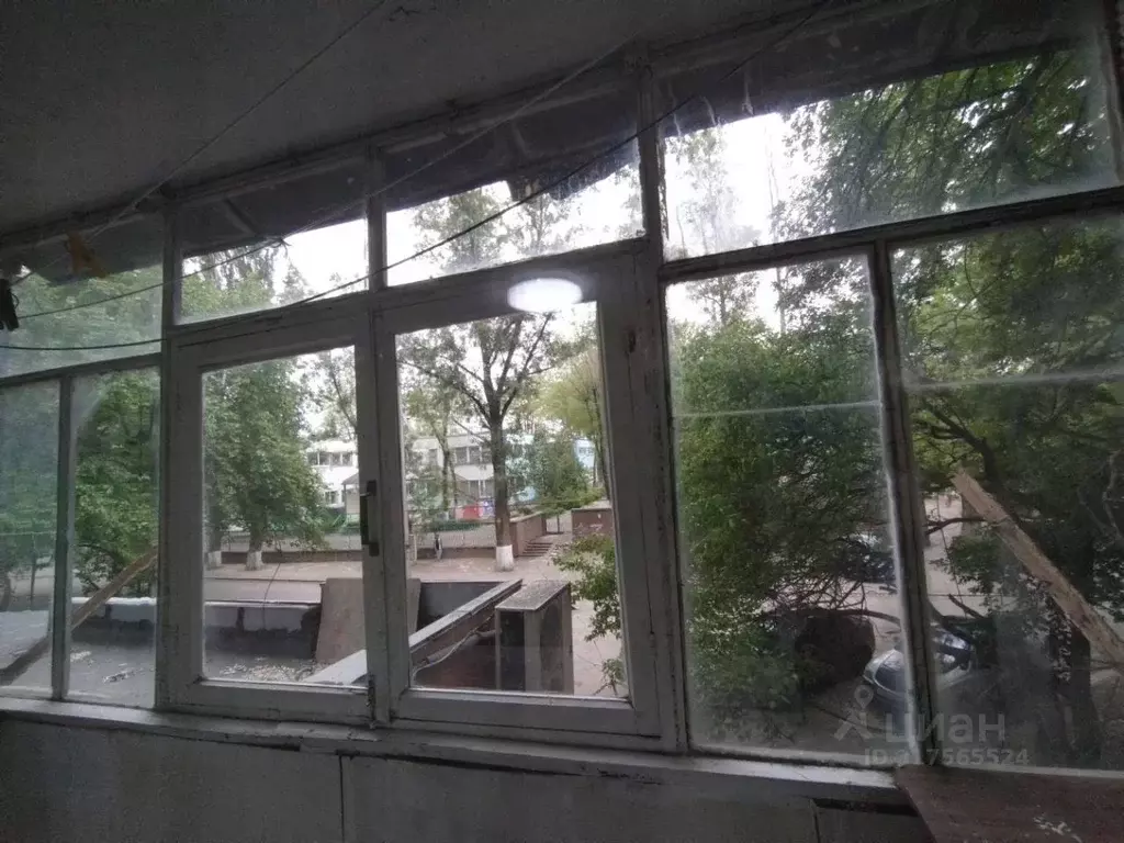 1-к кв. Ростовская область, Ростов-на-Дону Таганрогская ул., 116/1 ... - Фото 1