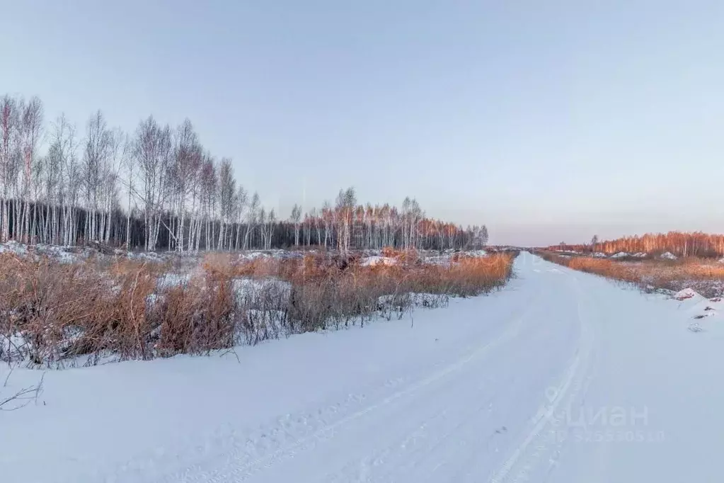 Участок в Тюменская область, Нижнетавдинский муниципальный округ, ... - Фото 2