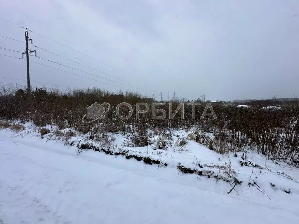 Участок в Тюменская область, Тюменский район, Лоза СНТ ул. 2-я (9.0 ... - Фото 1