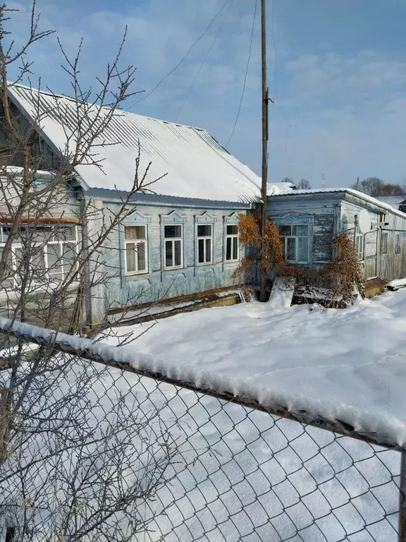 Дом в Пензенская область, Городищенский район, с. Канаевка Садовый ... - Фото 0