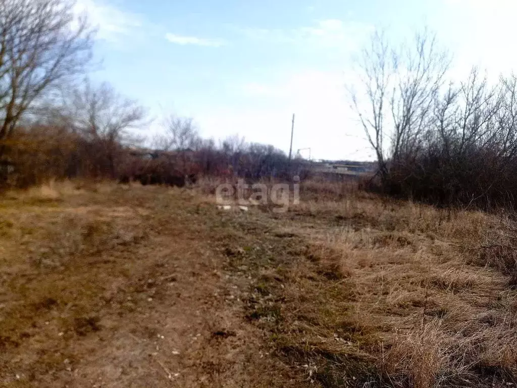Участок в Белгородская область, Чернянский район, Русскохаланское ... - Фото 1