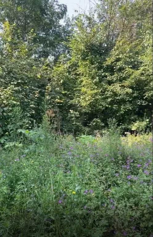 Участок в Московская область, Клин городской округ, д. Григорьевское  ... - Фото 1