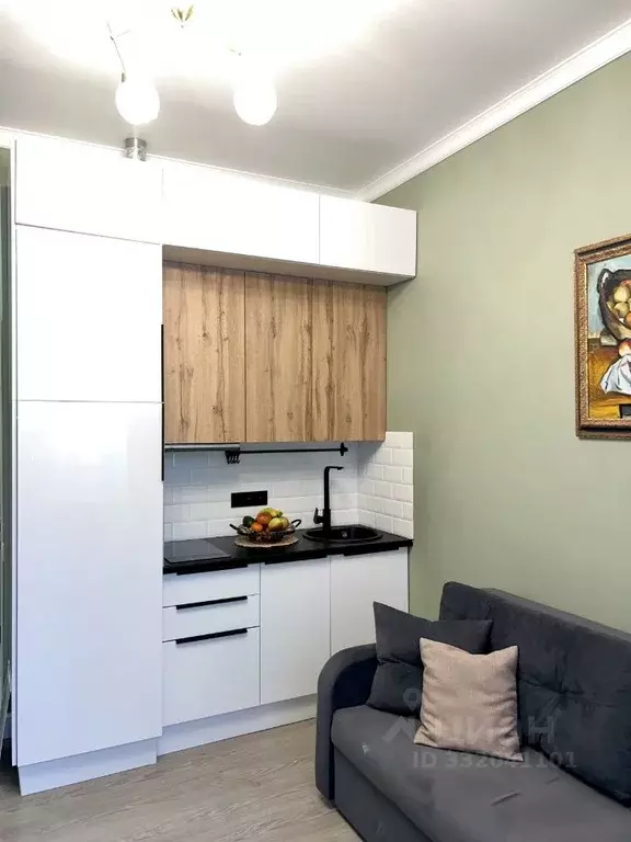 Студия Москва ул. Радио, 14С1 (20.5 м) - Фото 2