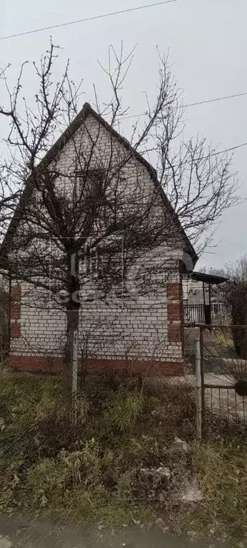 Дом в Воронежская область, Воронеж Славянка СНТ, ул. Грушевая (55 м) - Фото 2