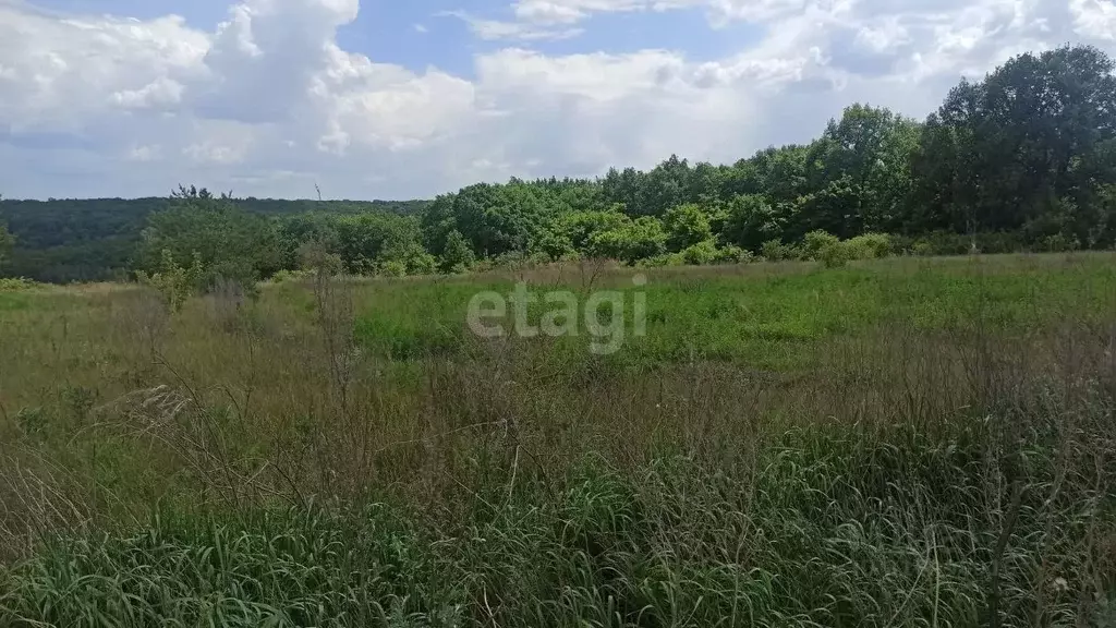 Участок в Белгородская область, Белгородский район, Беломестненское ... - Фото 0