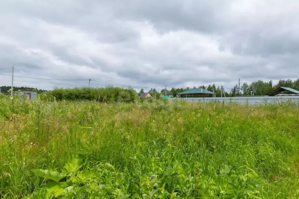 Участок в Тюменская область, Нижнетавдинский район, с. Тюнево  (10.0 ... - Фото 1