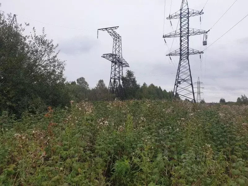 Участок в Свердловская область, Верхняя Пышма  (22533.0 сот.) - Фото 1