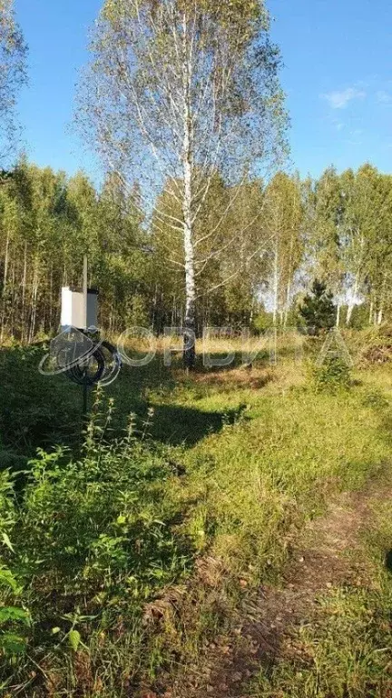 Участок в Тюменская область, Нижнетавдинский район, Геолог-2 СНТ  ... - Фото 0