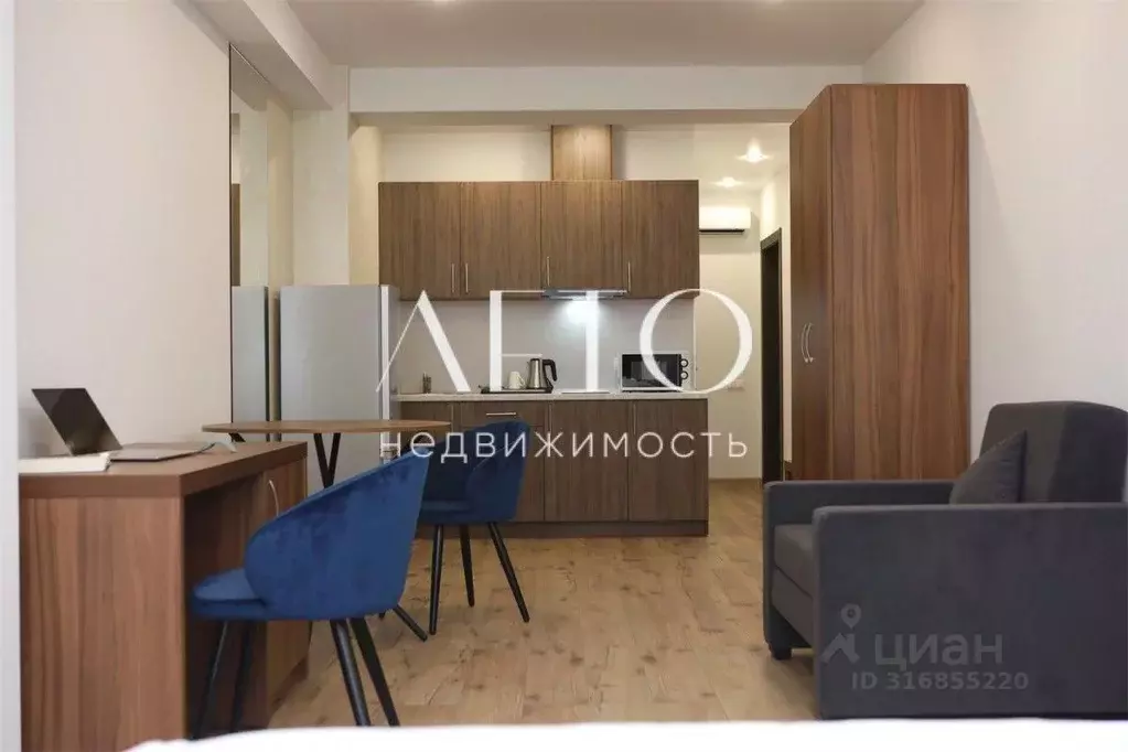 1-к кв. Краснодарский край, Сочи Гагарина мкр, ул. Красноармейская, ... - Фото 0