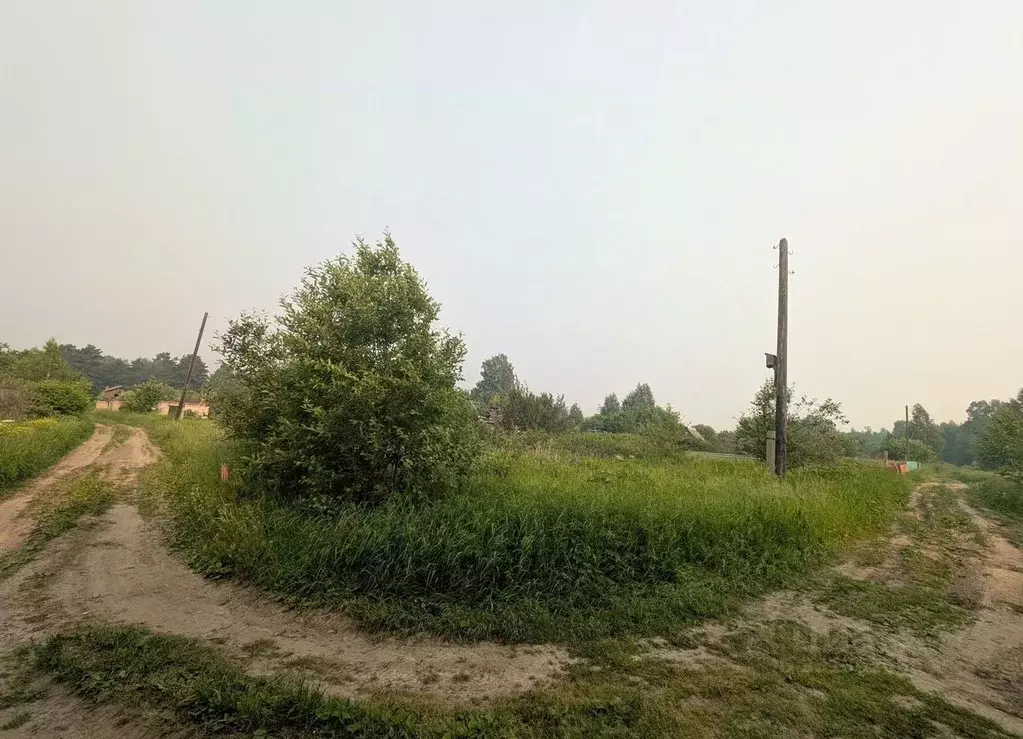 Участок в Томская область, Томск Весна садовое товарищество,  (8.0 ... - Фото 2
