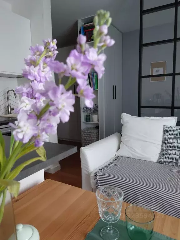 Студия Новосибирская область, Новосибирск ул. Дунаевского, 14 (28.0 м) - Фото 0