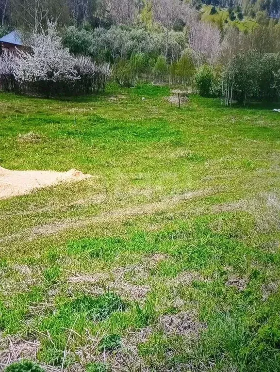 Участок в Алтай, Горно-Алтайск Бочкаревка СНТ,  (10.0 сот.) - Фото 1