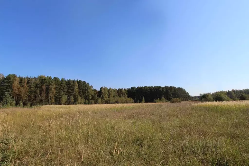 Участок в Московская область, Богородский городской округ, Богородск ... - Фото 0