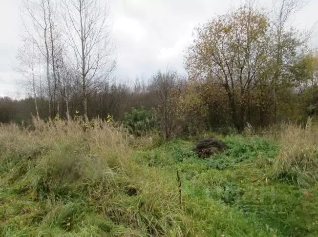 Участок в Московская область, Коломна городской округ, с. Нижнее ... - Фото 2