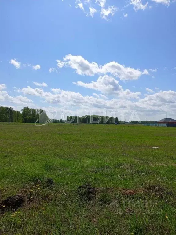 Участок в Тюменская область, Тюменский муниципальный округ, ... - Фото 1