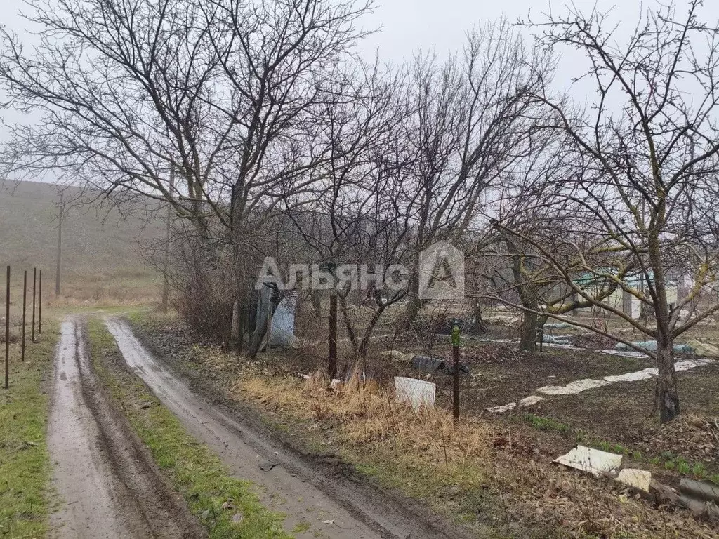 Участок в Ростовская область, Волгодонск Автомобилист-Дон НСТ,  (11.9 ... - Фото 1