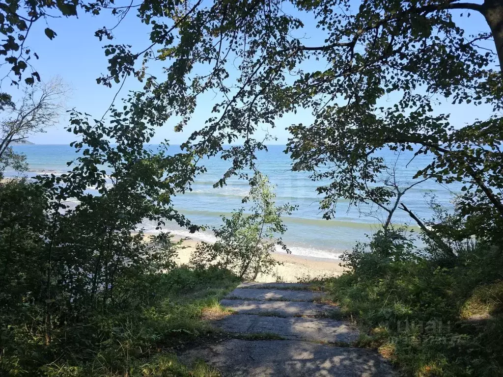 Участок в Калининградская область, Светлогорский городской округ, пос. ... - Фото 1