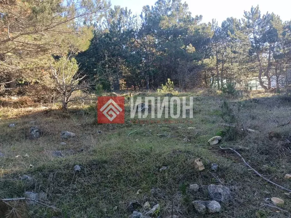 Участок в Севастополь Балаклавский муниципальный округ, Лазурь ТСН,  ... - Фото 2